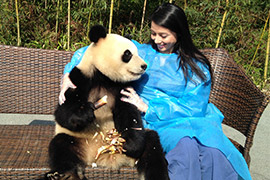 Customer China Travel Story