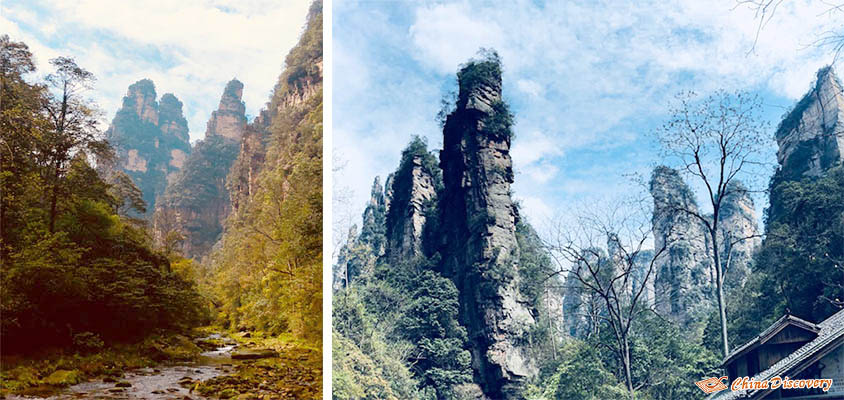 Golden Whip Stream and Pillar-like Mountains in Zhangjiajie, Photo Shared by Sommer, Tour Customized by Johnson