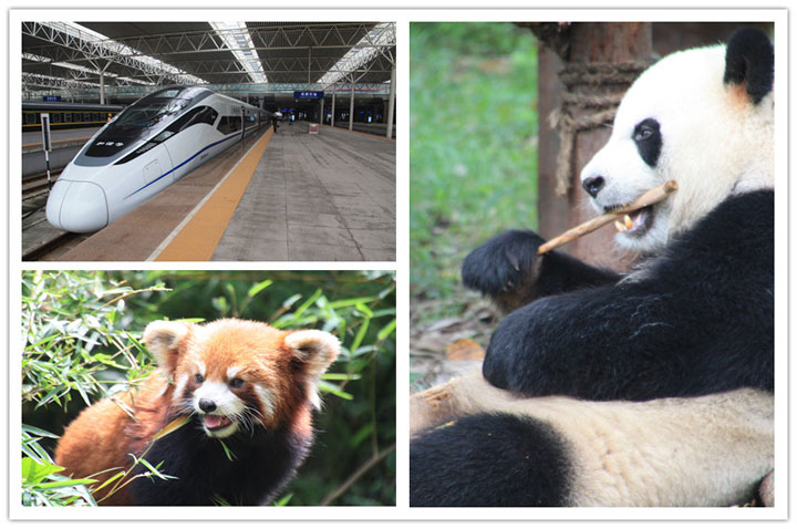 Chengdu Tour