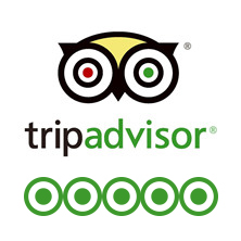 China Discovery Reviews on Tripadvisor.com; China Discovery Feedbacks