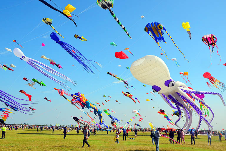 kites tour and travels