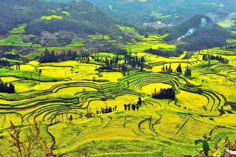 Luoping Yunnan Tour