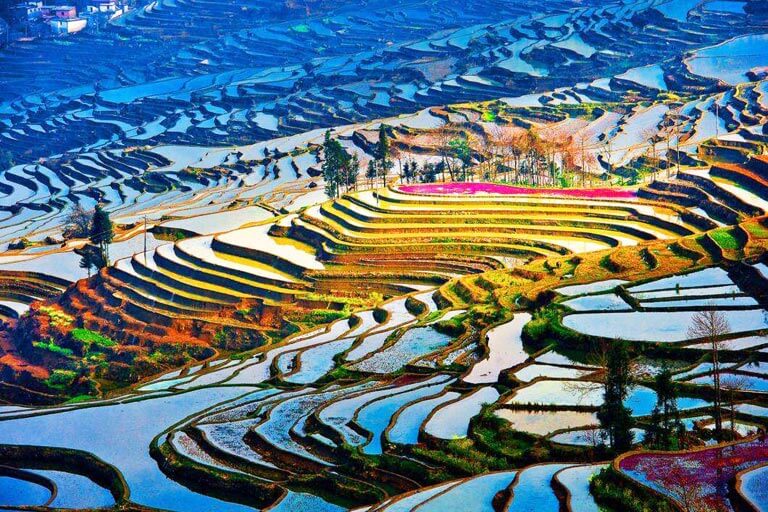 Yuanyang Rice Terraces