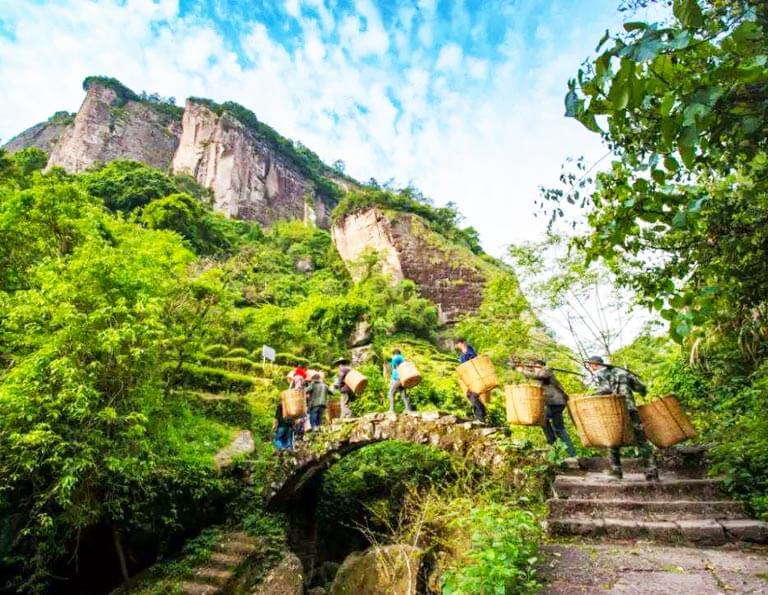 Wuyishan Dahongpao Scenic Area