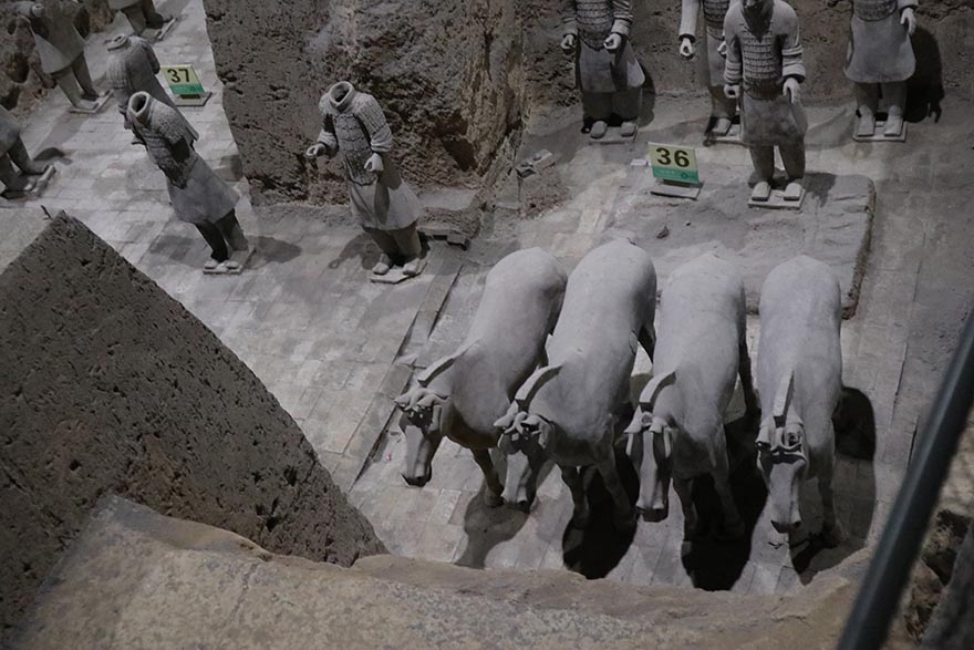 Terracotta Warriors