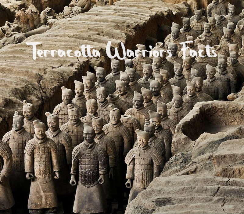 Terra Cotta Soldiers on the March, History