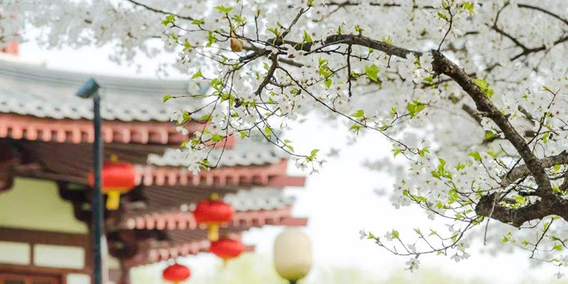 Xian Tourism & Travel Information