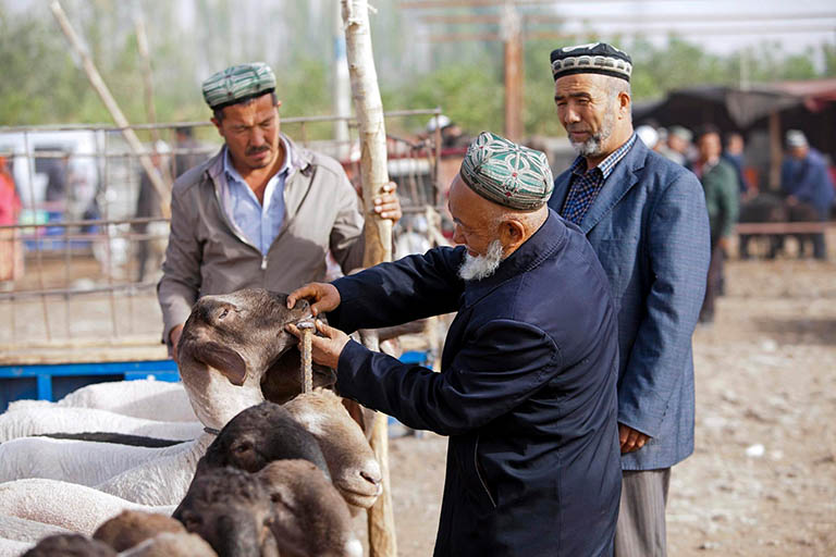 Kashgar Sunday Livestock Market