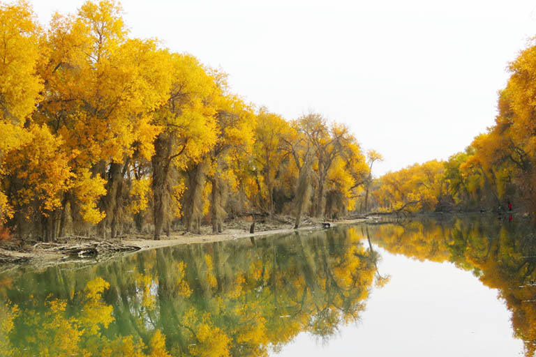 Top Xinjiang Attractions & Things to Do