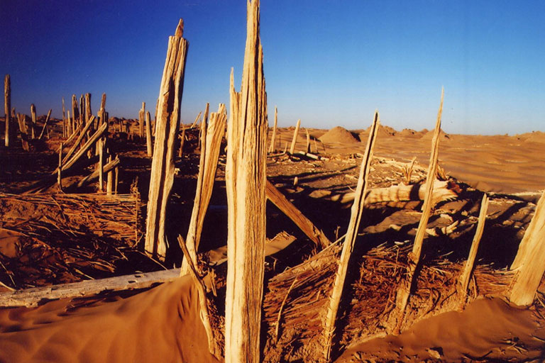 Niya Ruins Xinjiang Destinations - Hotan