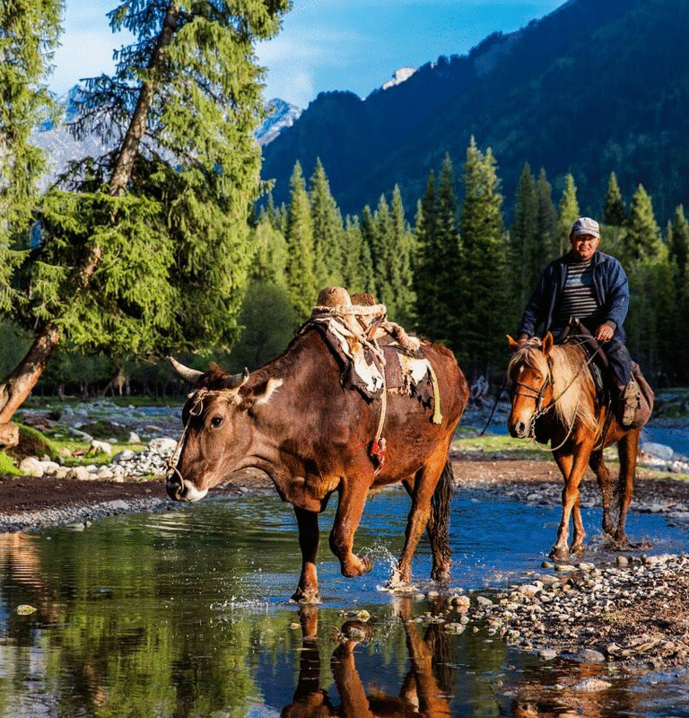 Seasonal Landscape in Xinjiang How To Plan A Trip To Xinjiang: Xinjiang Trip Planner