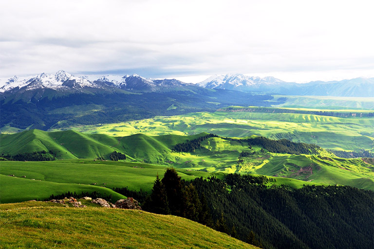 Dielang Valley Karajun Grassland