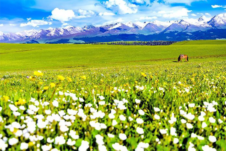 Flower Terrace ©梁柏祥 / meipian Top Xinjiang Attractions & Things to Do