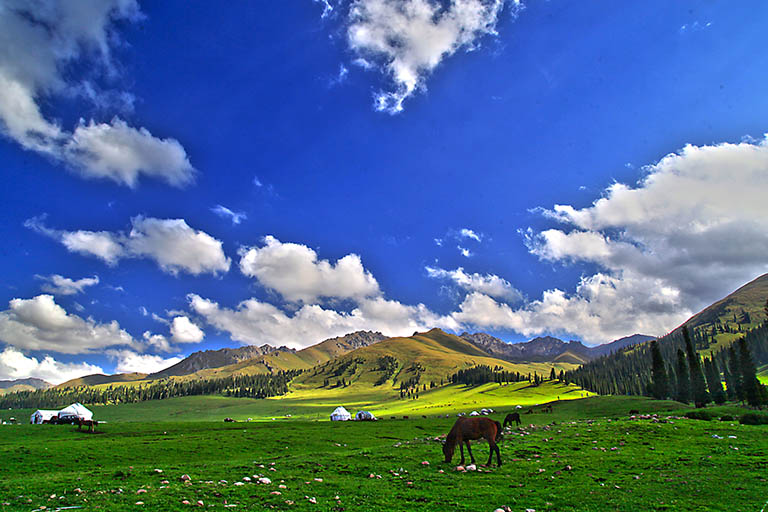 Nalati Grassland