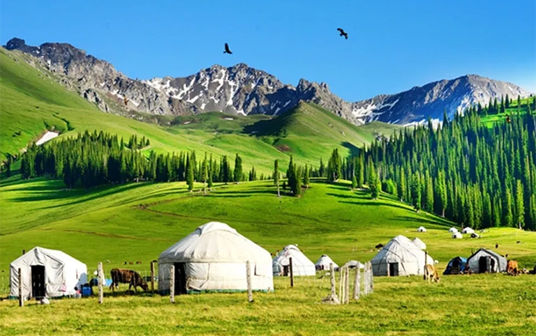 10 Days Stunning Xinjiang Tour including Ili Apricot Blossom and Naraty Grassland 2025/2026