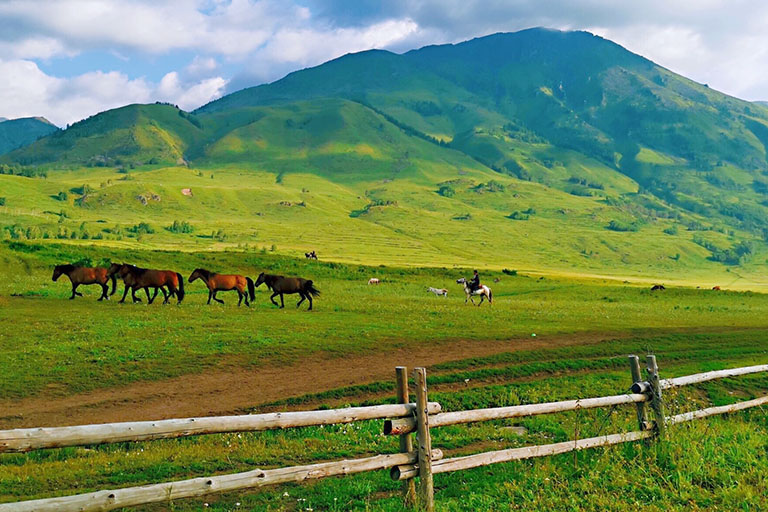 Grassland of Hemu Village in Summer ©.. / mafengwo Hemu Village