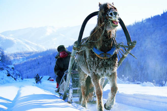 Horse Drawn Sleigh Ride in Winter ©土豆有点甜 /mafengwo Hemu Village