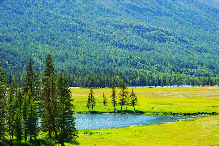 Xinjiang Kanas National Geopark