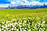 Xinjiang Tours 2025/2026