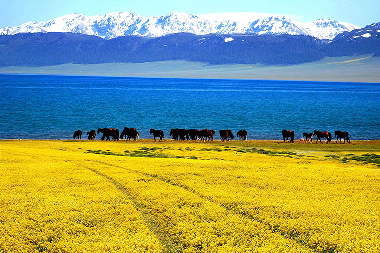 Dielang Valley Sayram Lake