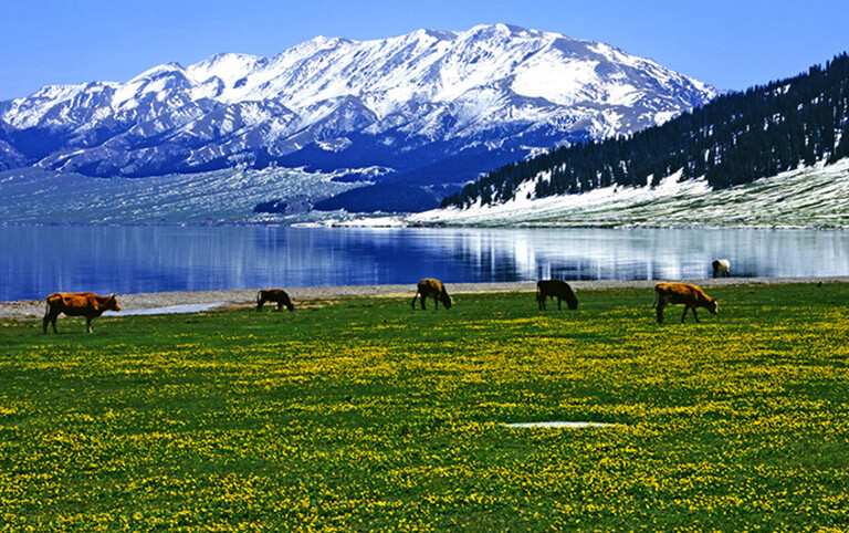 Sayram Lake and Nearby Snow Mountains