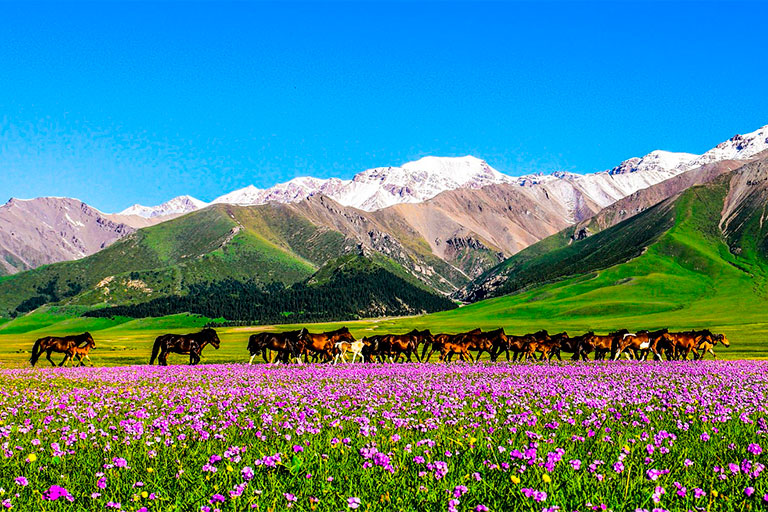 How to Plan Xinjiang Trip 2024