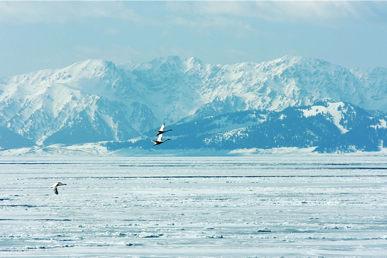 Sayram Lake in Winter Sayram Lake