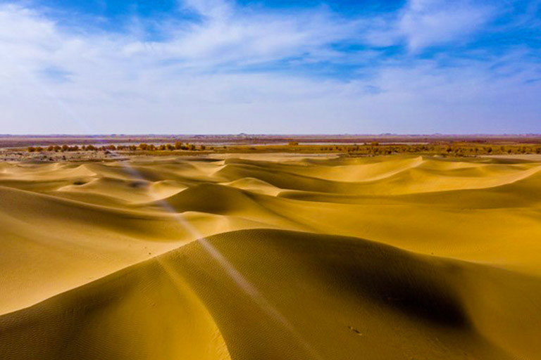 Taklamakan Desert Scenery Taklamakan Desert Scenery