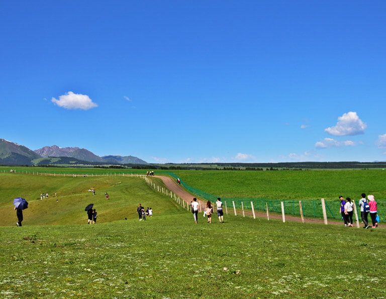 Walking on the grassland of West Baiyanggou Scenic Area of Southern Pasture