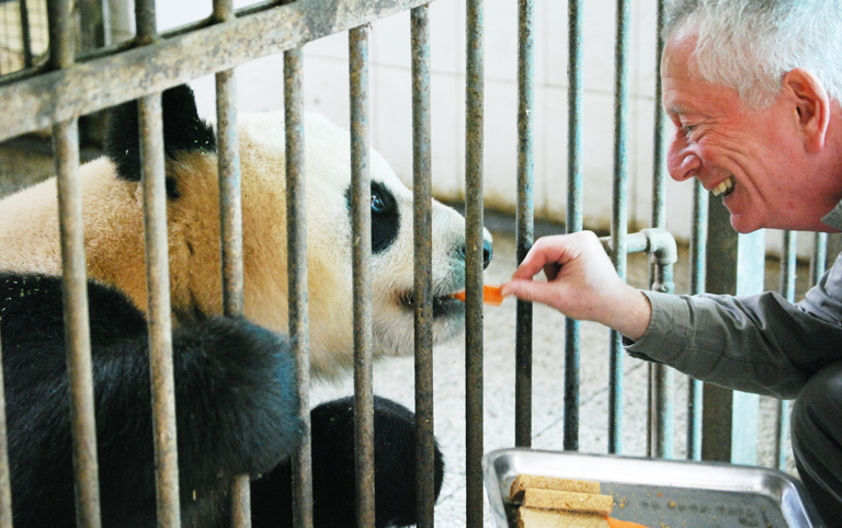 Feed Panda Personally at Bifengxia