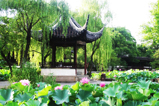 Suzhou Garden