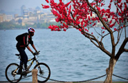 Yangtze Delta Tourism