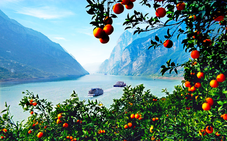 Three Gorges Fruits in Autumn