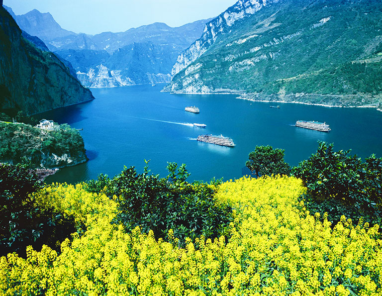 Yangtze River Cruise Spring Flowers