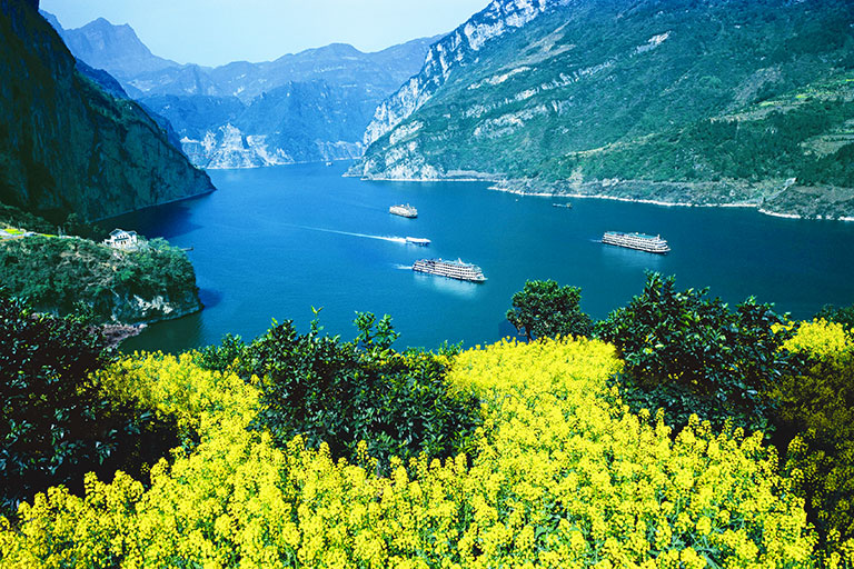 Yangtze River Cruise Spring Flowers