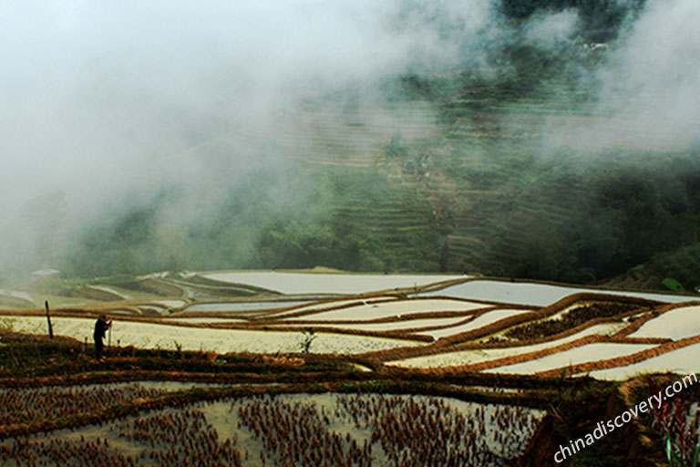 Yuanyang Laoyingzui Rice Terrace