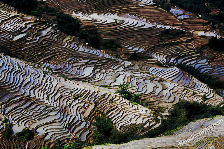Bada Rice Terraces