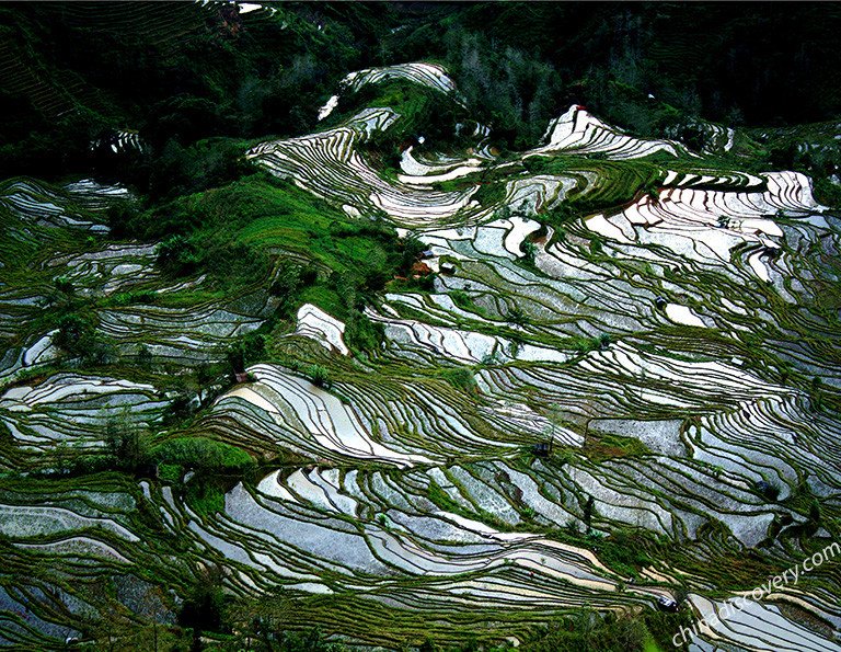 Yuanyang Rice Terraces Trekking