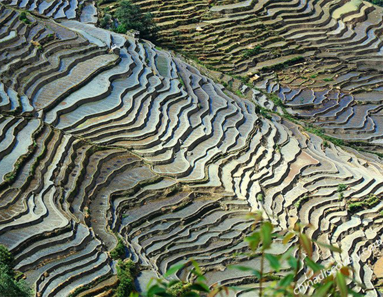 Yuanyang Terrace