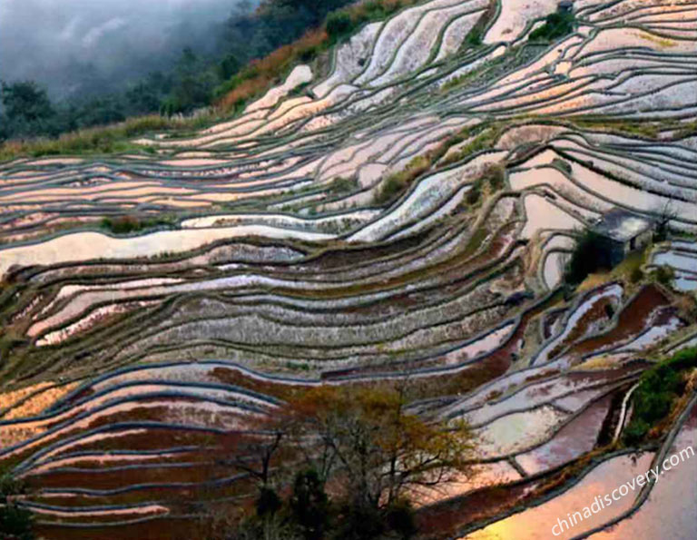 Duoyishu Rice Terrace