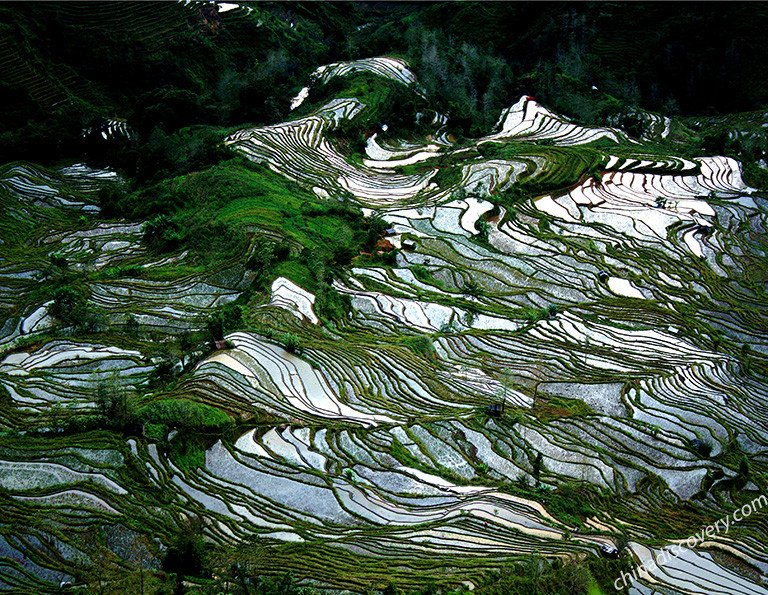 Duoyishi Rice Terraces