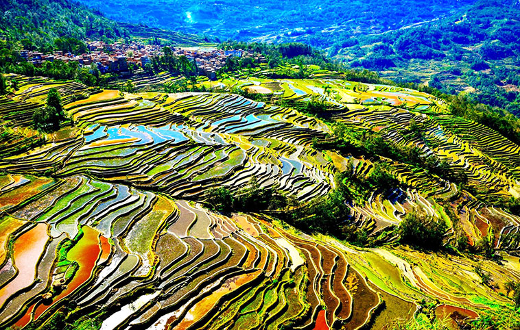 11 Days Yunnan Tour