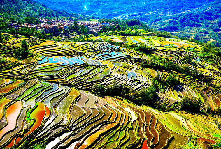 Laoyingzui Rice Terrace