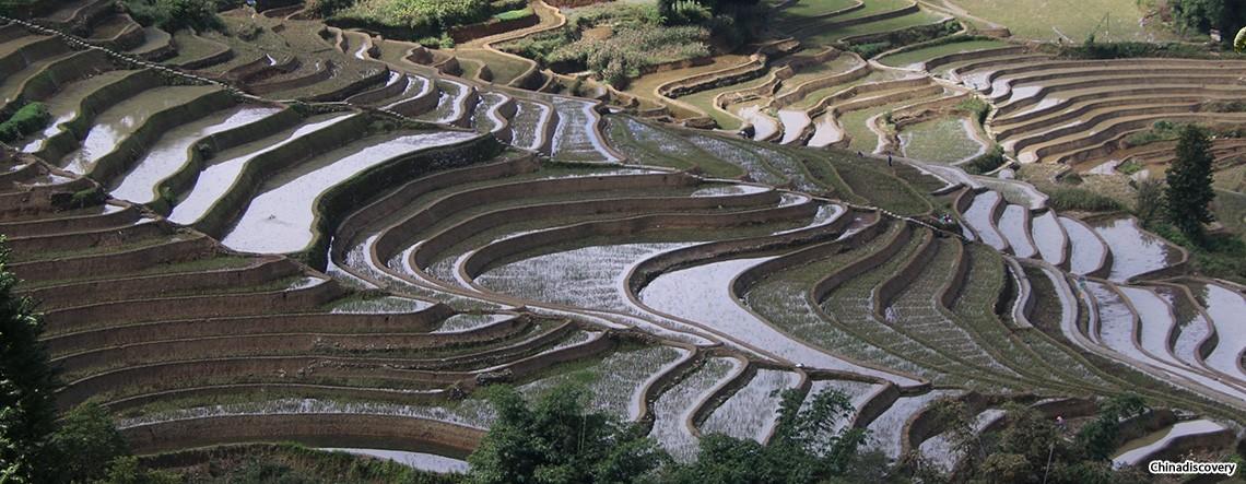 Yuanyang Rice Terrace Photography Tour