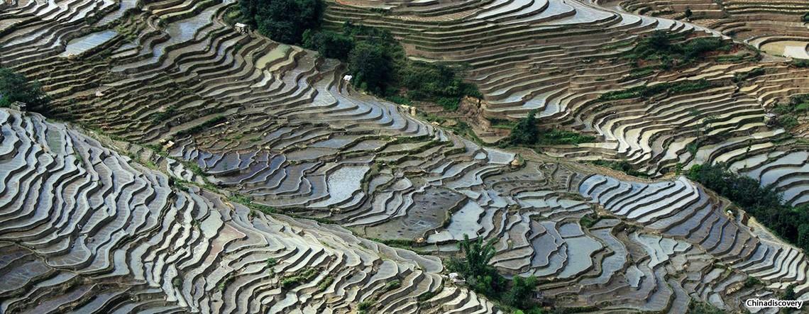 Yuanyang Rice Terrace Photography Tour