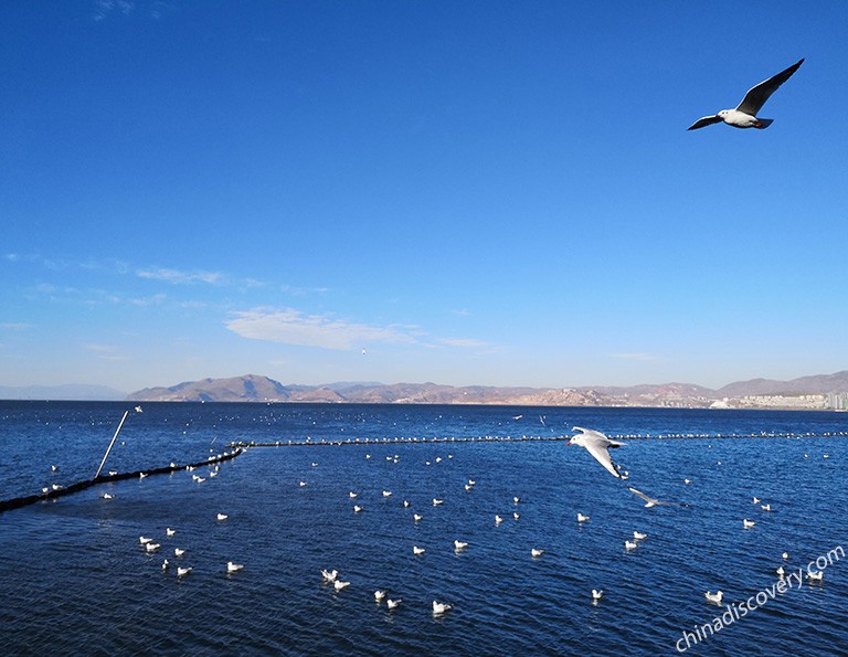 Erhai Lake