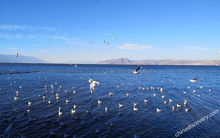 Erhai Lake
