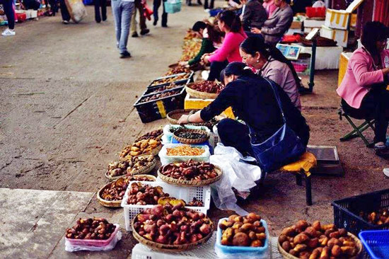 Mushuihua Wild Edible Mushroom Market Mushuihua Wild Edible Mushroom Market