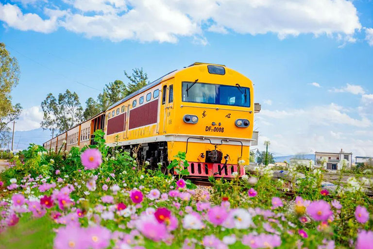 Meter-gauge Sightseeing Train Meter-gauge Sightseeing Train
