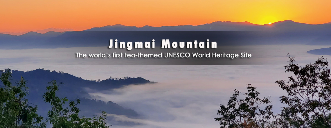 Jingmai Mountain Tours 2025/2026